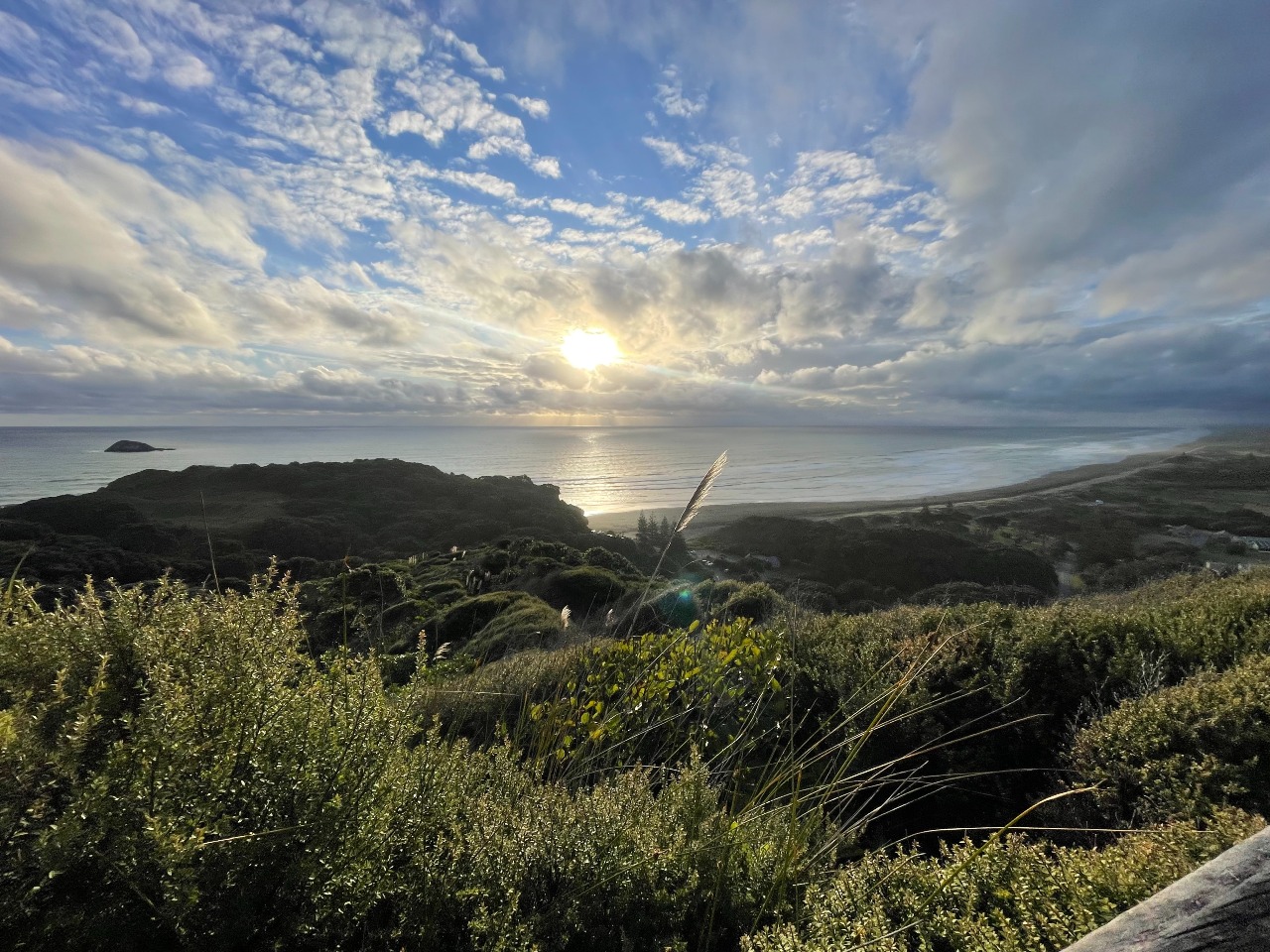 Muriwai Community Association
Restore Muriwai Project